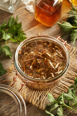 Fresh nettle root macerating in alcohol - preparation of homemade herbal tinctureの写真素材