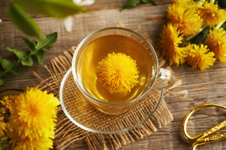 Dandelion flower collected in spring in a cup of herbal tea on a wooden tableの写真素材