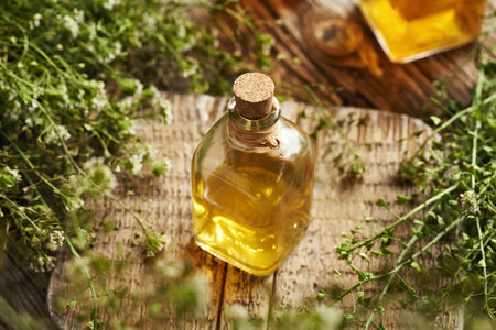 A bottle of herbal tincture with fresh blooming shepherd's purse plant collected in springの写真素材