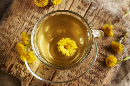 Coltsfoot flower in a cup of herbal tea, top viewの写真素材