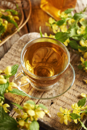 A cup of herbal tea with blooming yellow archangel or golden dead-nettle plant on a tableの写真素材