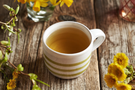 Herbal tea in a striped cup with fresh coltsfoot flowers collected in springの写真素材