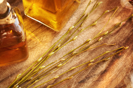 A bottle of gemmotherapeutic herbal tincture with young willow branches and buds on a tableの写真素材