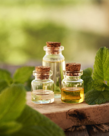 Three bottles of aromatherapy essential oil with fresh melissa leaves, with copy spaceの写真素材