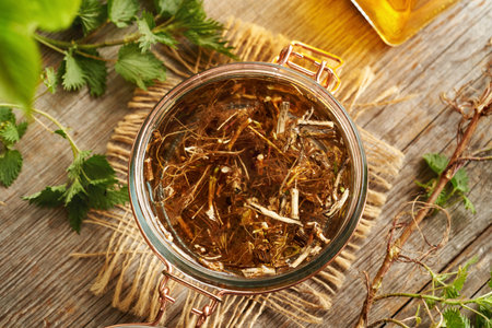 Fresh nettle root macerating in alcohol to prepare homemade herbal tinctureの写真素材