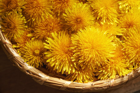 Dandelion flowers in a wicker basket, close upの写真素材