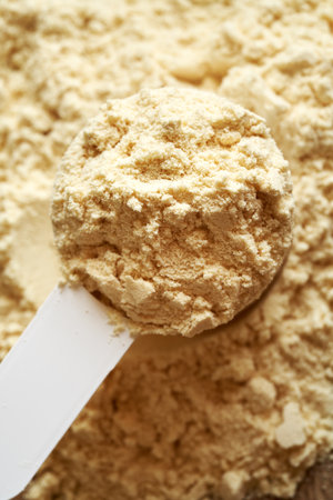 Whey protein powder in a white measuring scoop, closeupの写真素材