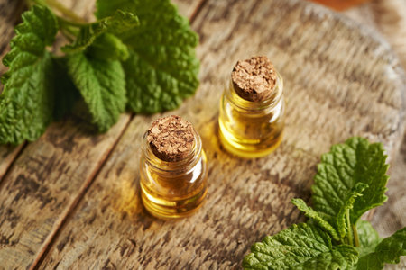 Two bottles of melissa essential oil with melissa leaves on a tableの写真素材