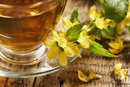 Close up of yellow archangel or golden dead-nettle flowers with a cup of herbal teaの写真素材