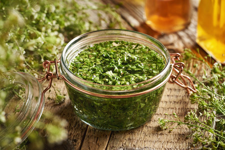 Preparation of herbal tincture from fresh blooming shepherd's purse plant in a glass jarの写真素材