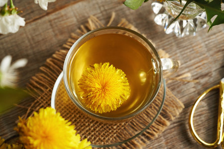 Dandelion flower harvested in spring in a cup of herbal tea, top viewの写真素材