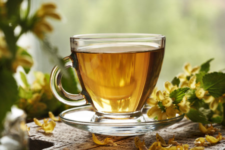 A cup of herbal tea with fresh blooming yellow archangel or golden dead-nettle plant with green bokehの写真素材