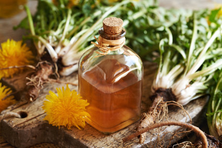 A bottle of herbal tincture with fresh dandelion rootの写真素材
