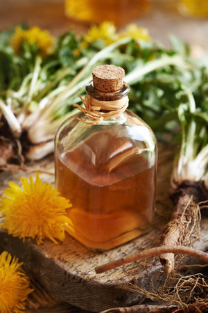 A bottle of dandelion root tincture with whole plant and flowersの写真素材