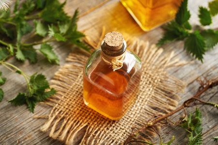 A transparent glass bottle of nettle root tincture with fresh whole stinging nettle root, rhizome and leavesの写真素材