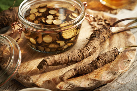 Preparation of burdock root tincture. Alternative or herbal medicine.の写真素材