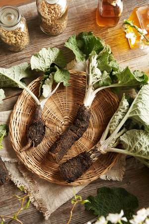 Whole burdock root with bottles of herbal tinctureの写真素材