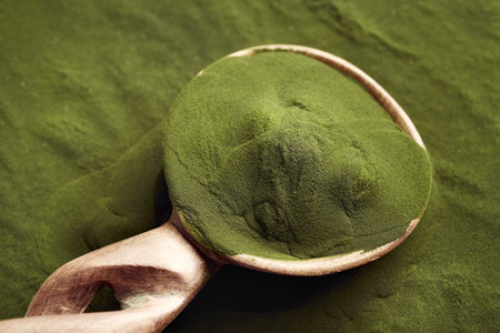 Green chlorella algae powder on a wooden spoonの写真素材