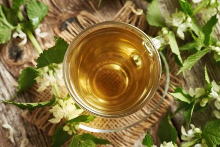 Fresh white dead-nettle blossoms and leaves with a cup of herbal tea, top viewの写真素材