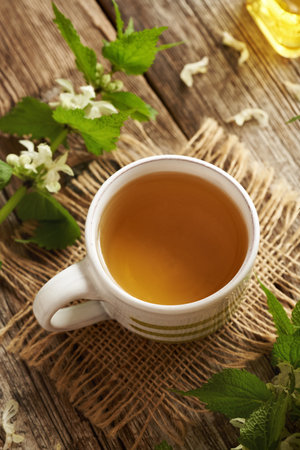 A cup of herbal tea with fresh white dead-nettle flowers and leavesの写真素材