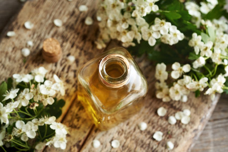 A bottle of herbal tincture with fresh hawthorn flowers in springtimeの写真素材