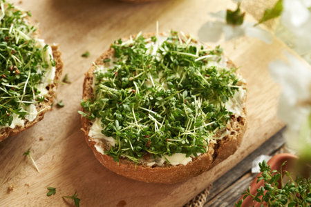 Fresh homegrown garden cress sprouts or microgreens on a slice of bun on a wooden tableの写真素材
