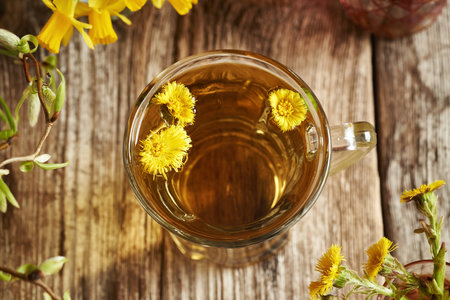 Coltsfoot flowers in a cup of herbal tea on a wooden tableの写真素材