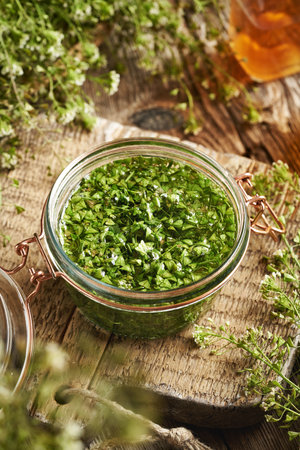 Making herbal tincture from fresh blooming shepherd's purse plantの写真素材