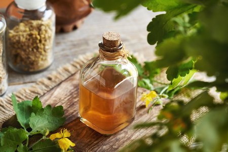A bottle of herbal tincture with blooming tetterwort or greater celandine plant on a tableの写真素材