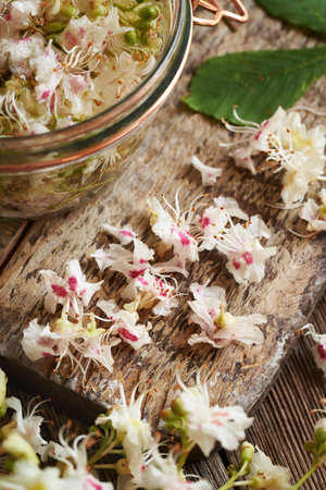 Fresh horse chestnut flowers on a table - ingredient for homemade herbal tinctureの写真素材