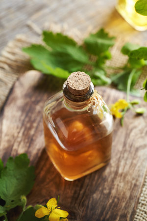 A glass bottle of tetterwort herbal tincture on a wooden tableの写真素材