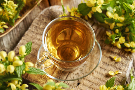 A cup of herbal tea with yellow archangel or golden dead-nettle flowers. Herbal medicine.の写真素材
