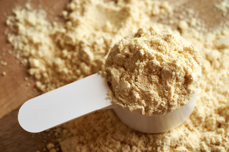 A scoop of whey protein powder - healthy nutritional supplementの写真素材