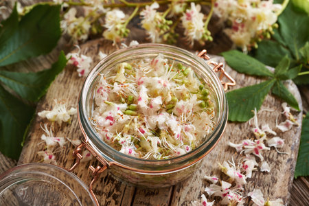 Preparation of herbal tincture from horse chestnut blossoms in a glass jar in springの写真素材
