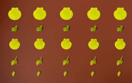 Yellow seashell pattern on brown background. Minimal flatlay concept.