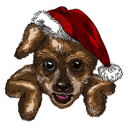 christmas dog colorのイラスト素材