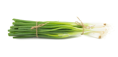 Green onionの写真素材