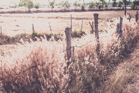 old wooden and metal fence,vintage style.の写真素材