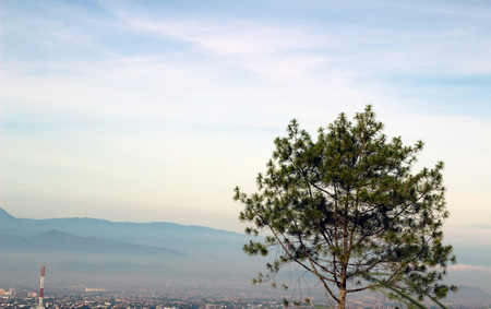 nature on aprilの写真素材