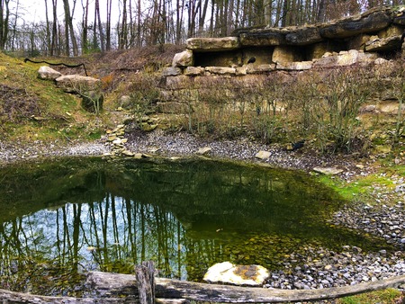 Very small marshy green lake pond in early spring autumn winter in Germany green Forest Wild Nature Park cold weather rounded with big stonesの写真素材