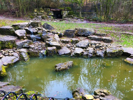 Very small marshy green lake pond in early spring autumn winter in Germany green Forest Wild Nature Park cold weather with stonesの写真素材