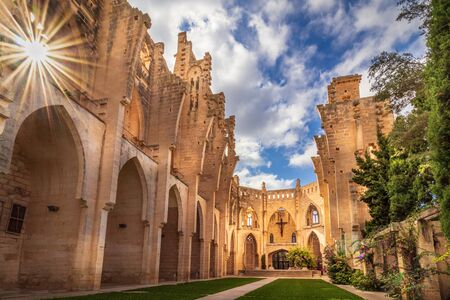 Esgesia Nova Spanish church without roof, entrnce of palm trees leading into garden, sunny day with blue sky and white clouds, Son Servera, Mallorca, Spainの写真素材