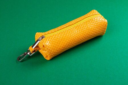 yellow leather key holder on green background. Side viewの写真素材