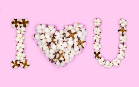 Phrase i love u with heart shape instead of the word love made from cotton flowers on pink...