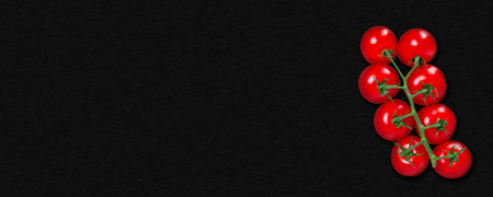 Tomato branch on dark background. long horizontal bannerの写真素材