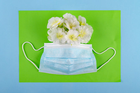 Top view of medical mask and bouquet of white flowers on vibrant green and pastel blue background with copy space. Concept of Tightness in throat caused by allergyの写真素材