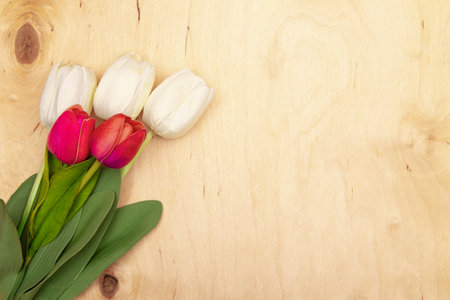 Tulip flowers on wooden background with copy space. Whimsical tulips bloom on textured wood.の写真素材