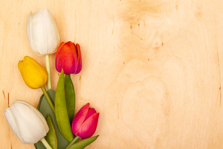 Tulip flowers on wooden background with copy space. Graceful tulips bring joy to greeting card.の写真素材