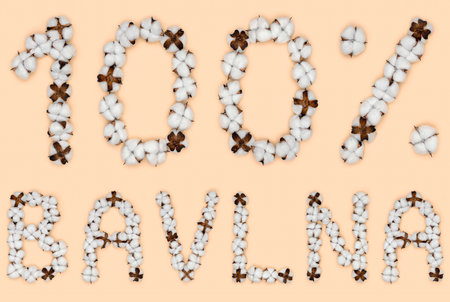 Lettering 100% bavlna from Slovak or Czech language means cotton, made of cotton flowers. Concept of organic raw material.の写真素材