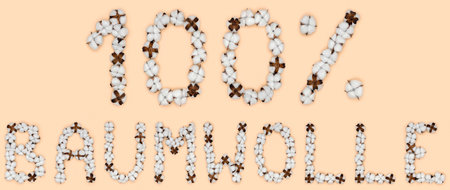 Lettering 100% Baumwolle from German language means cotton, made of cotton flowers. Concept of organic raw material.の写真素材